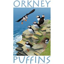 ORKNEY PUFFINS